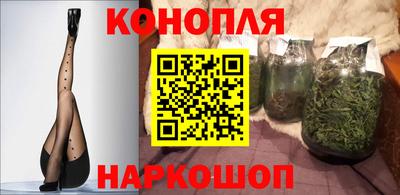 гашик Янаул
